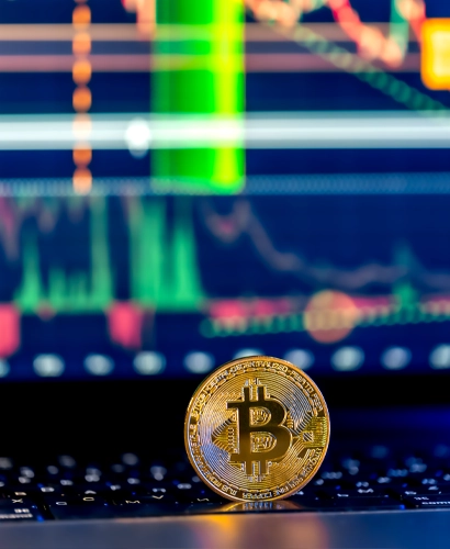Zorovixia Informazioni sul Trading